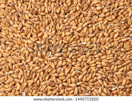 Background texture of crushed seed and grain mix for livestock and bird feed as a dietary supplement for the animals