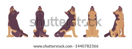 Shepherd dog howling. Working breed, family pet, companion for disability assistance, search, rescue, police, military help. Vector flat style cartoon illustration, white background, different views