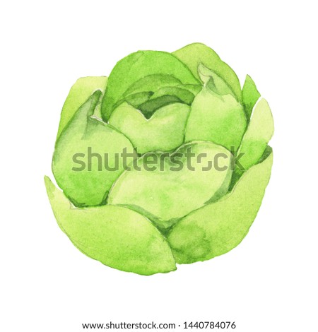 Succulent floral botanical flower. Wild spring leaf wildflower isolated. Watercolor background illustration set. Watercolour drawing fashion aquarelle isolated. Isolated cacti illustration element.