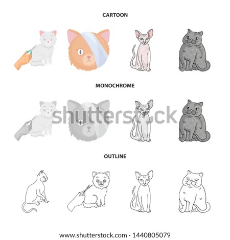 Isolated object of pet and sphynx logo. Collection of pet and fun vector icon for stock.