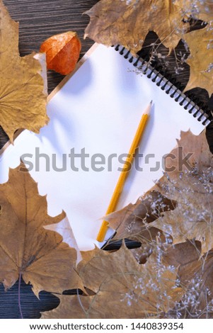 Autumn background photo. Maple leaves, place for text. Happy Halloween, harvest, the beginning of the school concept.