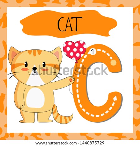 Letter C uppercase cute children colorful zoo and animals ABC alphabet tracing flashcard of Red Cat for kids learning English vocabulary and handwriting 