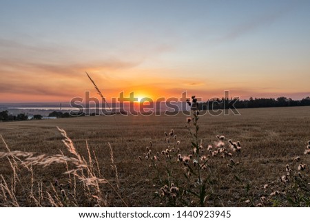 
Summer sunset landscape with flowers in the village