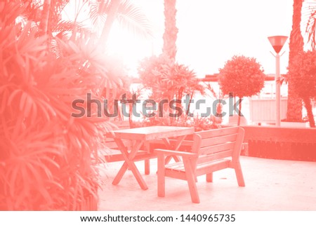 Empty bench on beach walkway. Sunny rest area. Tropical green palm trees background. Summer, holiday and travel concept in trendy coral color.