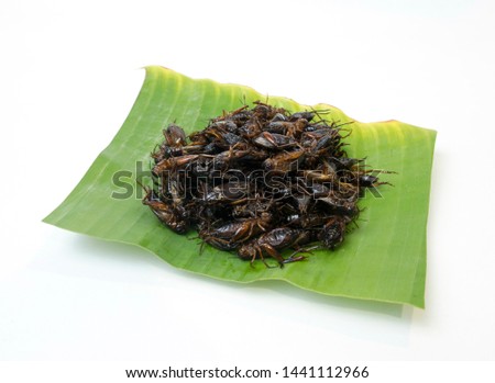 Thai food fried insects on white background