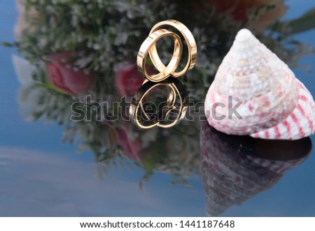 Classic gold wedding rings and a sea shell decorating the photo on a dark mirror