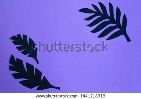 Background from tropical leaves of black paper on a dark purple background.
