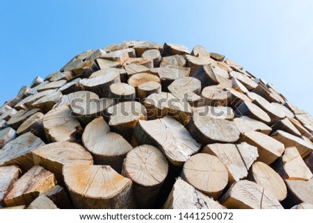 Wall of stacked wood logs as background - high resolution image