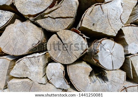 Wall of stacked wood logs as background - high resolution image
