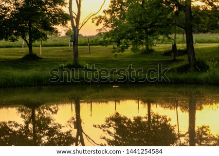 Beautiful sunset on the pond
