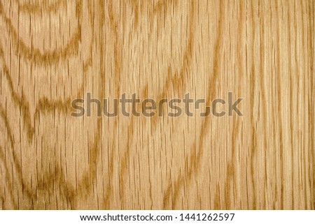 Wood texture on the background. Wood texture wallpaper. Wood material surface.