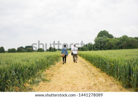 Wheat field in the countryside with pathways running through it.