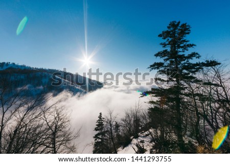 Landscape photos from misty mountain at Kartepe with lens flare