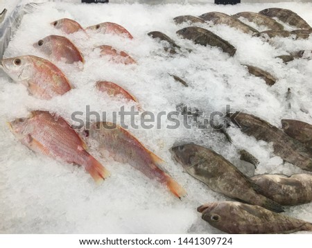 Fresh fish on ice for sell in the supermarket