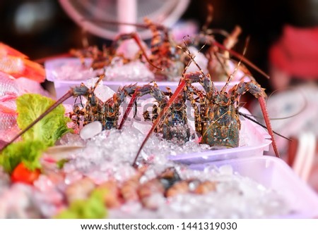 
King lobsters lie in ice