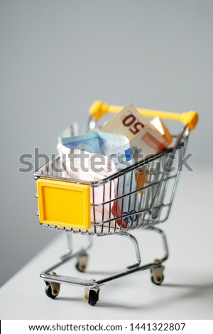 Euro cash notes in a shopping basket vertical