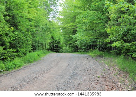 A dirt road in the countryside