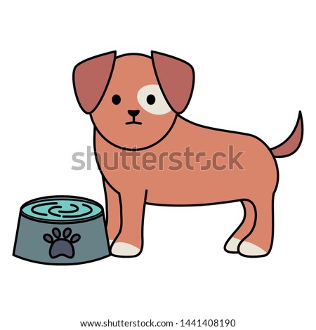 little dog adorable with dish water