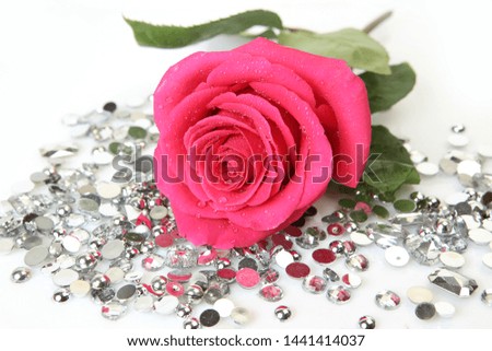 pink rose and decorative ornaments