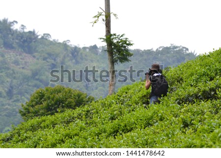 Photographer capturing the scenery in the middle of tea gardens