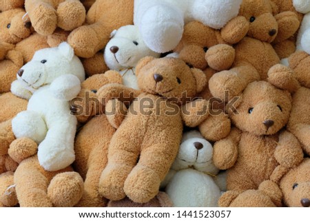 Teddy bear with brown bear friends