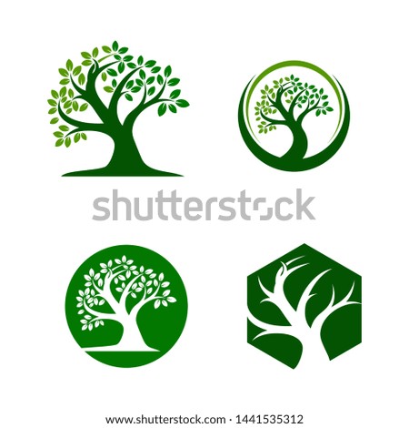 tree logo template. green forest icon vector illustration