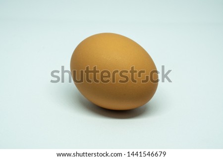egg close up picture in background white