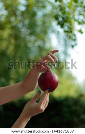 A girl is holding an apple in her hands. Beautifully curved fingers