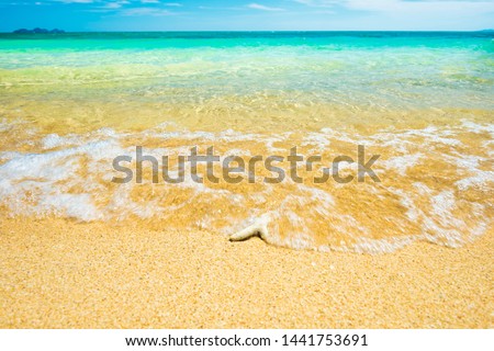 Seascape with coral at sand tropical beach, white surf waves, turquoise sea water and blue sky