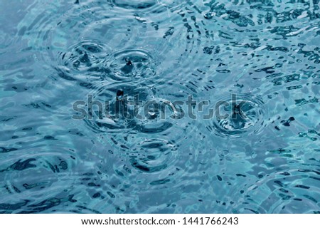
Photo of raindrops on the water. Puddles and raindrops. Circles on the water.