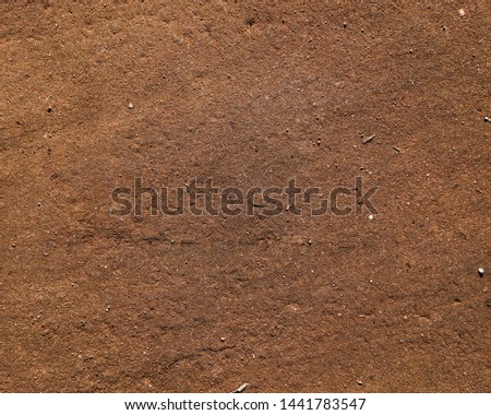 Dry, compacted, dirt road with tire tracks imprinted into the surface Royalty-Free Stock Photo #1441783547