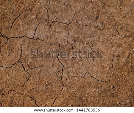 Dry, compacted, dirt road surface with cracks in it  Royalty-Free Stock Photo #1441783556