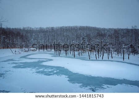 A frozen blue pond in winter. Biei Hokkaido