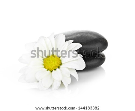 zen basalt stones and daisy isolated on white