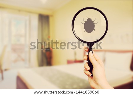 Pest bed bug background bedbug control bedding