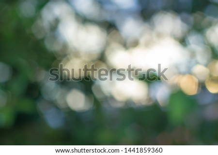 blurred green background for background.