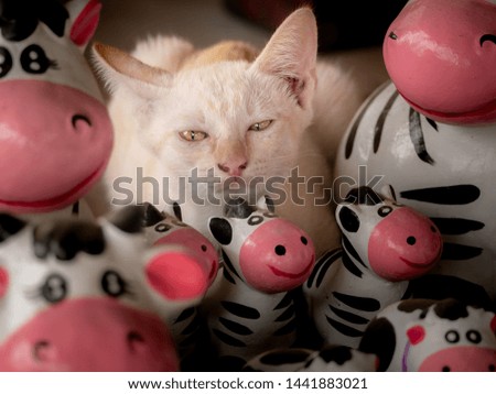 The Yellow Happy Kitten Sitting Together with the Zebra Family Doll in The Shop