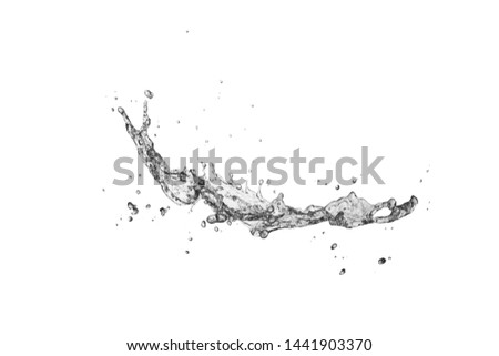 water Splash isolate On White Background