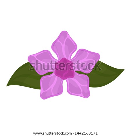 Isolated lilac flower image with leaves - Vector
