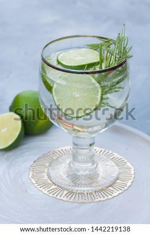Glass of gin and tonic with lime slices and rosemary.