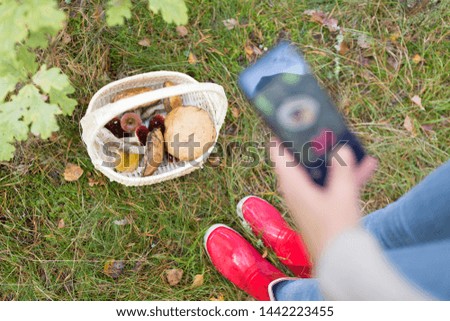 technology, nature and leisure concept - close up of woman with smartphone photographing or using app to identify mushrooms in forest