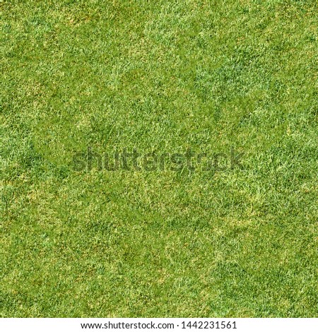 green grass seamless square pattern background top down view of lawn meadow texture for design natural color hi resolution photo for wallpaper design template Royalty-Free Stock Photo #1442231561