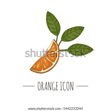 Vector colored illustration of orange isolated on white background. Citrus icon. Fruit concept. Fresh food illustration