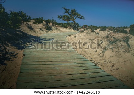 Melancholic view of a wooden walkway on a sunny sandy beach in Crete with a view of lonley tree on a blue sky background