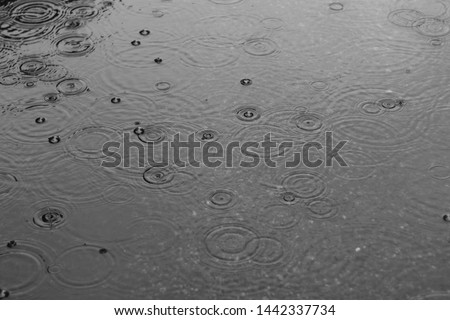 rain puddle autumn water  surface raindrop