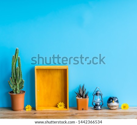 Beautiful  cactus,wooden  shelf and  simulated  owl  on  wood  table  with  blue  background