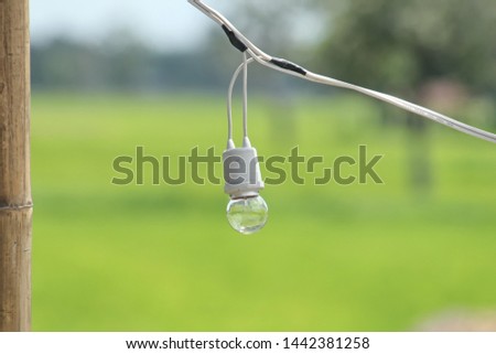Light bulb in the farm and blurred green plants background