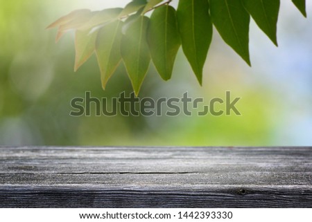 Blurred green leaf nature background and wooden desk.