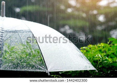 It’s raining, an umbrella. Sky have a drizzling and overcast all the time. Raining background, Umbrella background