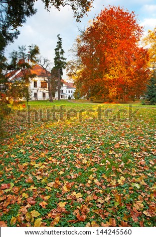 Castle with park in autumn